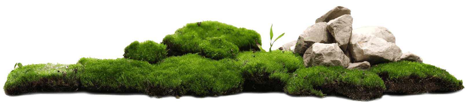 moss-and-stones