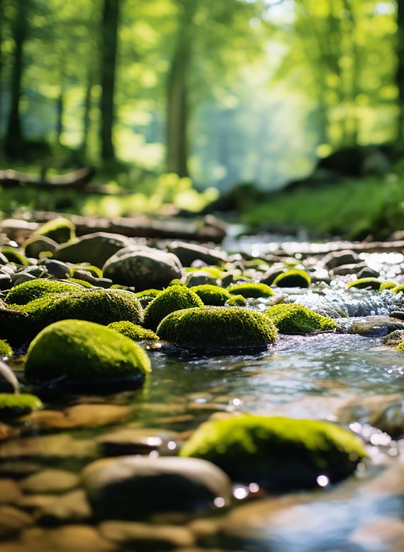 nature